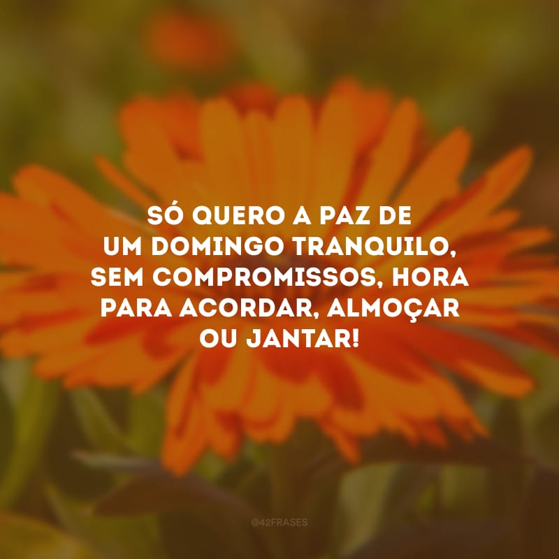 Só quero a paz de um domingo tranquilo, sem compromissos, hora para acordar, almoçar ou jantar!