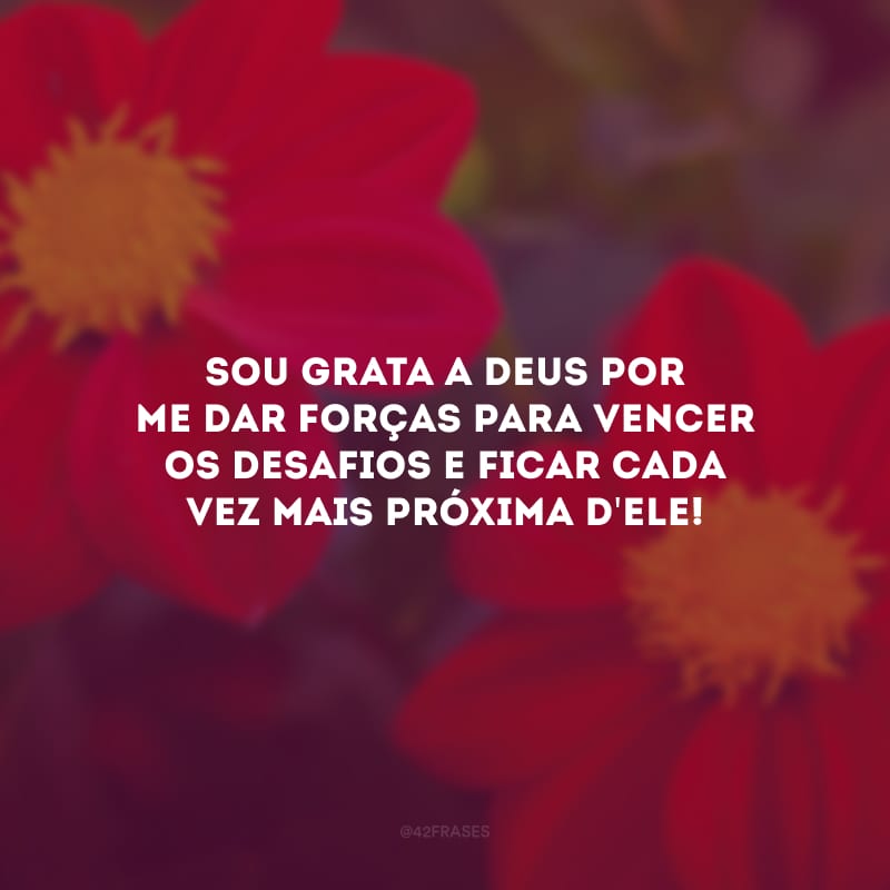 Sou grata a Deus por me dar forças para vencer os desafios e ficar cada vez mais próxima d\'Ele!