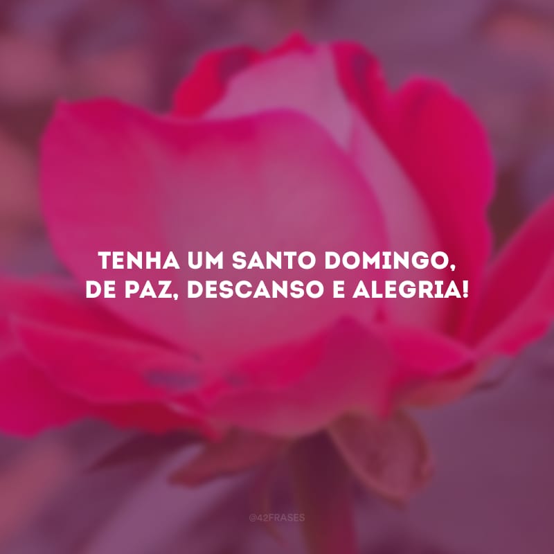 Tenha um santo domingo, de paz, descanso e alegria!