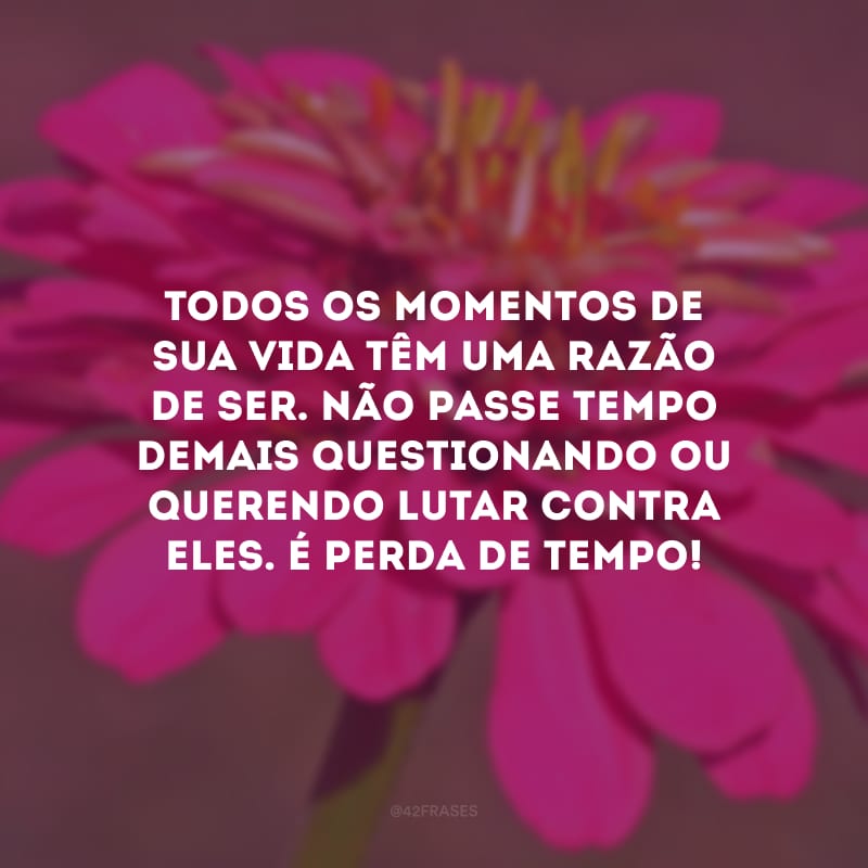 Todos os momentos de sua vida têm uma razão de ser. Não passe tempo demais questionando ou querendo lutar contra eles. É perda de tempo!