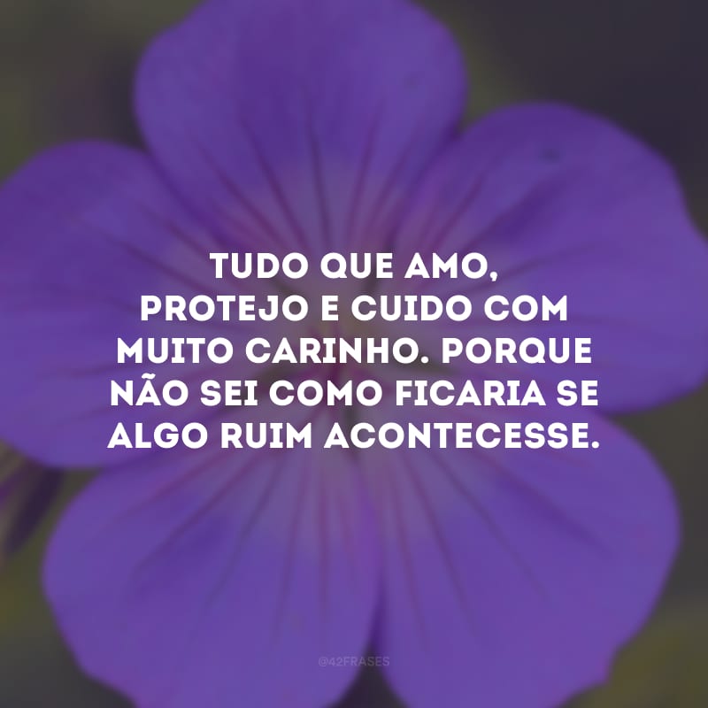 Tudo que amo, protejo e cuido com muito carinho. Porque não sei como ficaria se algo ruim acontecesse.