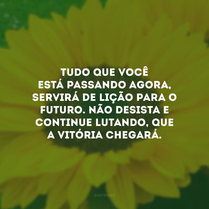 Tudo que você está passando agora, servirá de lição para o futuro. Não desista e continue lutando, que a vitória chegará.