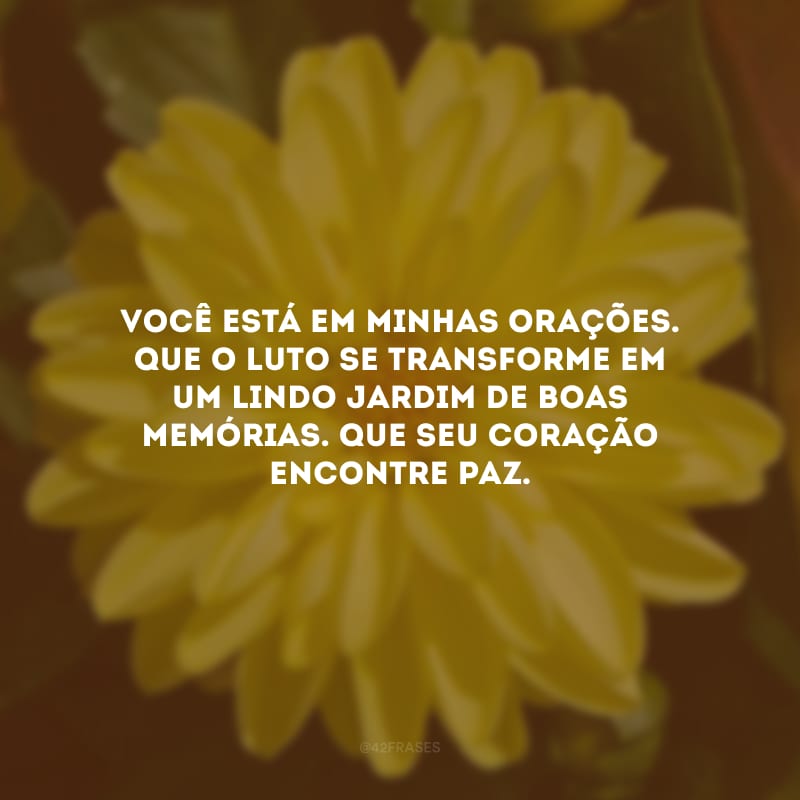 Você está em minhas orações. Que o luto se transforme em um lindo jardim de boas memórias. Que seu coração encontre paz.