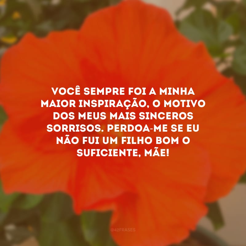 Você sempre foi a minha maior inspiração, o motivo dos meus mais sinceros sorrisos. Perdoa-me se eu não fui um filho bom o suficiente, mãe!