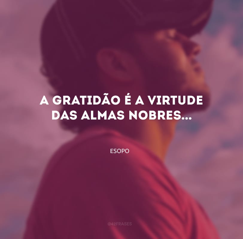 A gratidão é a virtude das almas nobres...