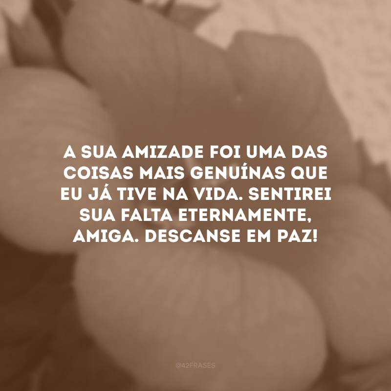 A sua amizade foi uma das coisas mais genuínas que eu já tive na vida. Sentirei sua falta eternamente, amiga. Descanse em paz! 