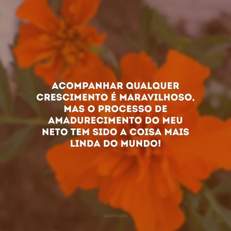 Acompanhar qualquer crescimento é maravilhoso, mas o processo de amadurecimento do meu neto tem sido a coisa mais linda do mundo!