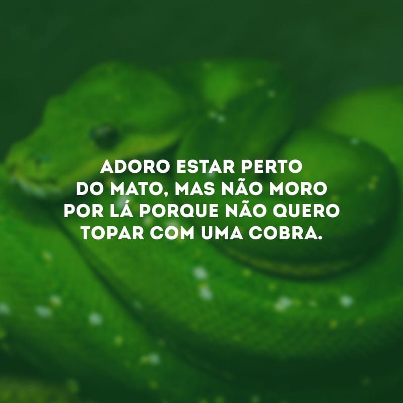 Adoro estar perto do mato, mas não moro por lá porque não quero topar com uma cobra.