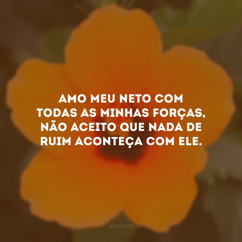 Amo meu neto com todas as minhas forças, não aceito que nada de ruim aconteça com ele.