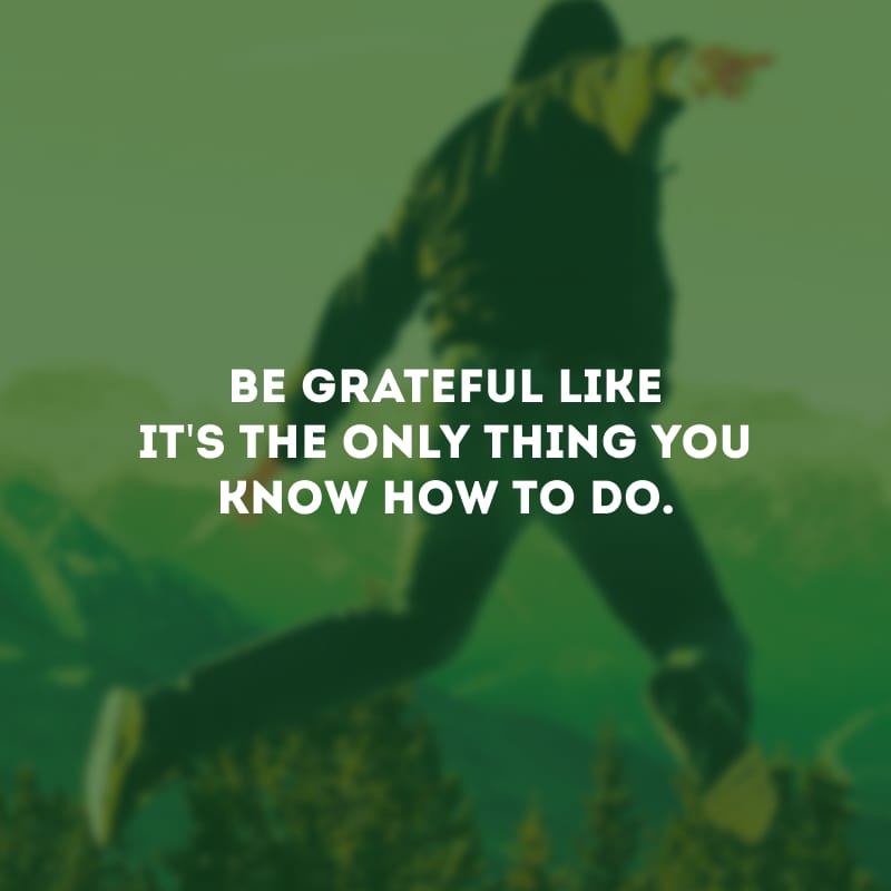 Be grateful like it\'s the only thing you know how to do.
(Seja grato como se essa fosse a única coisa que você sabe fazer.)