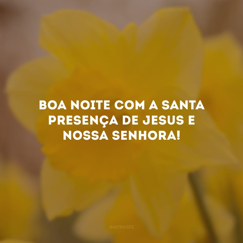 Boa noite com a santa presença de Jesus e Nossa Senhora! 