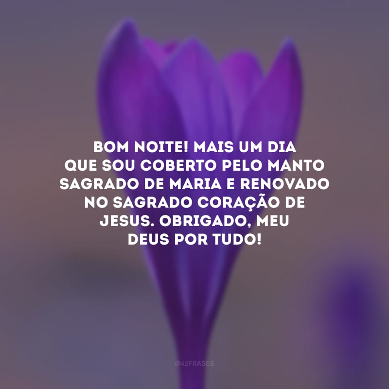 Bom noite! Mais um dia que sou coberto pelo manto sagrado de Maria e renovado no Sagrado Coração de Jesus. Obrigado, meu Deus por tudo! 