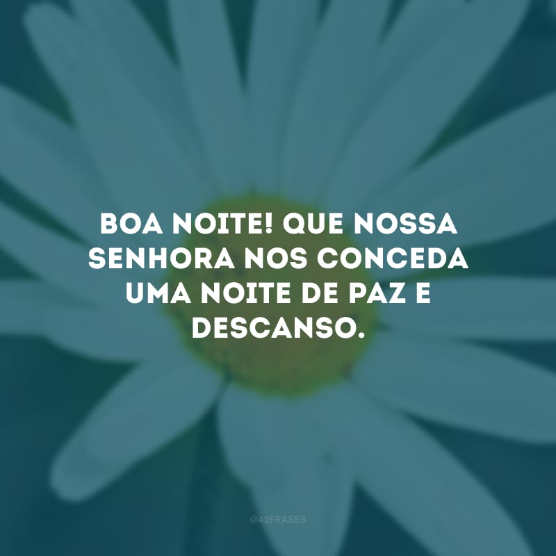 Boa noite! Que Nossa Senhora nos conceda uma noite de paz e descanso. 