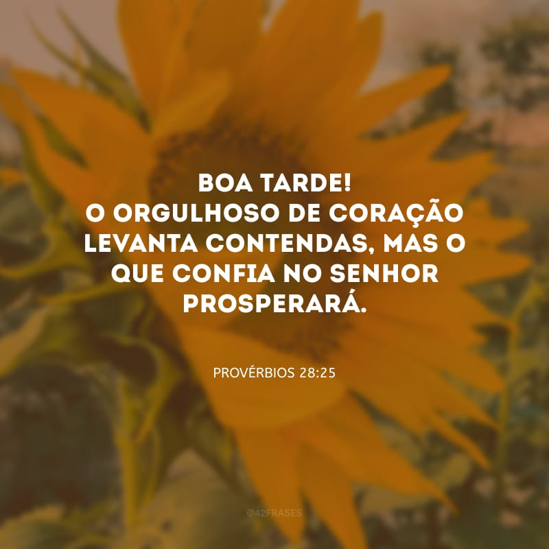 Boa tarde! O orgulhoso de coração levanta contendas, mas o que confia no Senhor prosperará. 