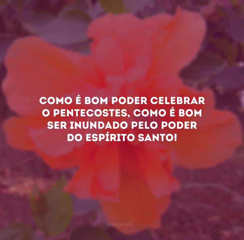 Como é bom poder celebrar o Pentecostes, como é bom ser inundado pelo poder do Espírito Santo!