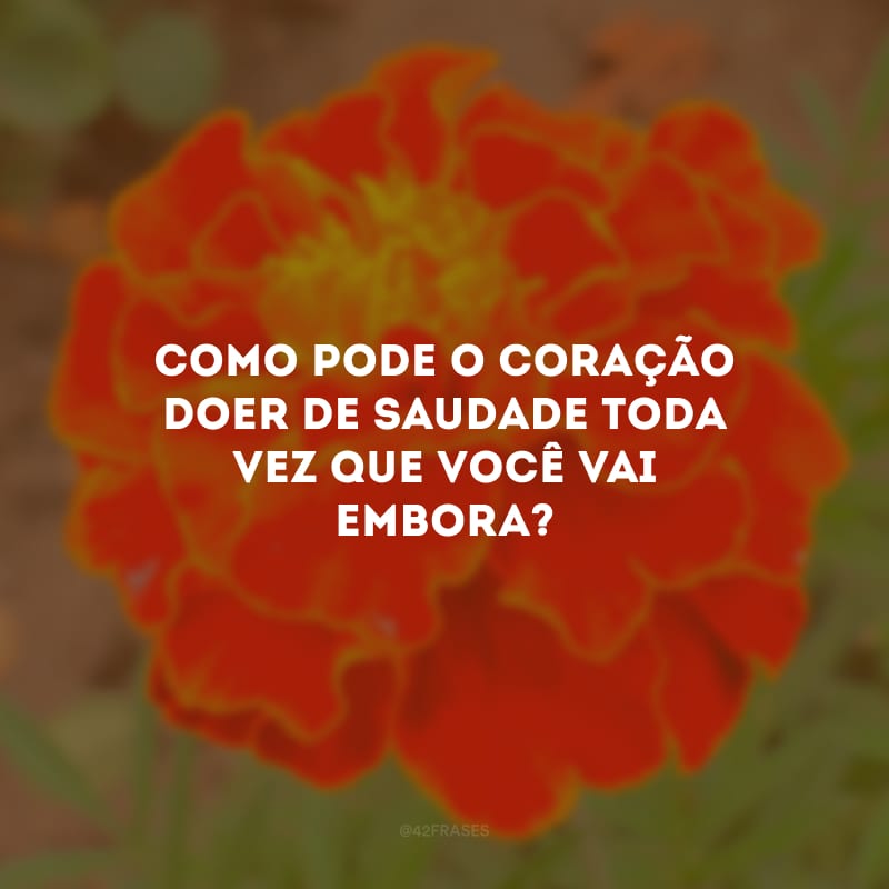 Como pode o coração doer de saudade toda vez que você vai embora?