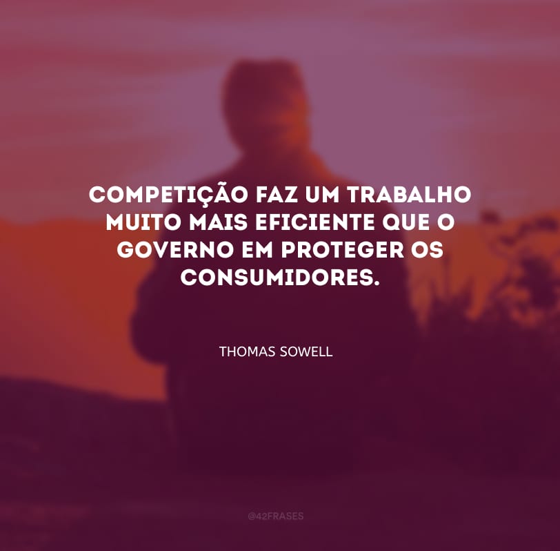 Competição faz um trabalho muito mais eficiente que o governo em proteger os consumidores.