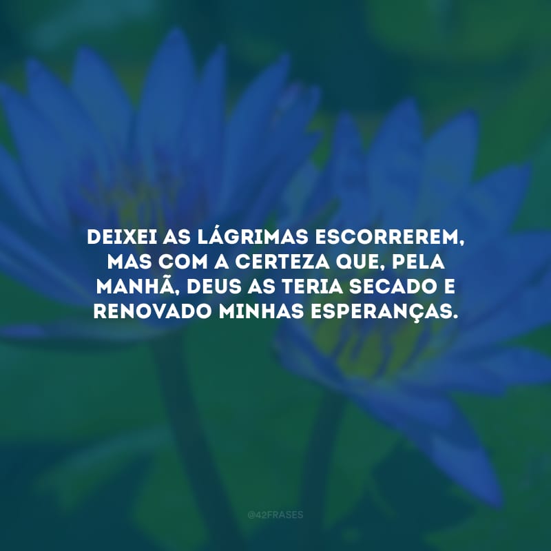 Deixei as lágrimas escorrerem, mas com a certeza que, pela manhã, Deus as teria secado e renovado minhas esperanças.