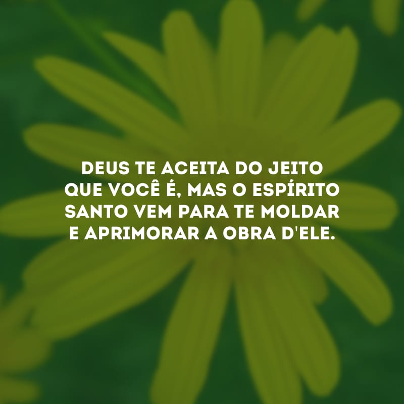 Deus te aceita do jeito que você é, mas o Espírito Santo vem para te moldar e aprimorar a obra d\'Ele. 