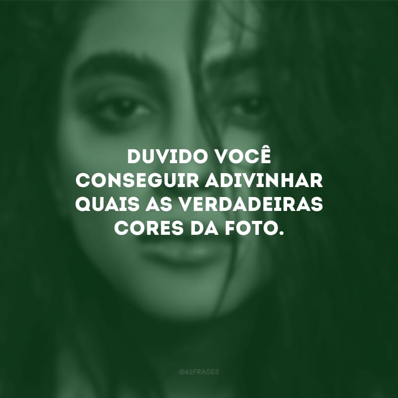 Duvido você conseguir adivinhar quais as verdadeiras cores da foto.