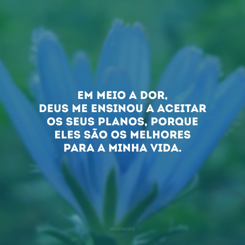 Em meio a dor, Deus me ensinou a aceitar os seus planos, porque eles são os melhores para a minha vida.