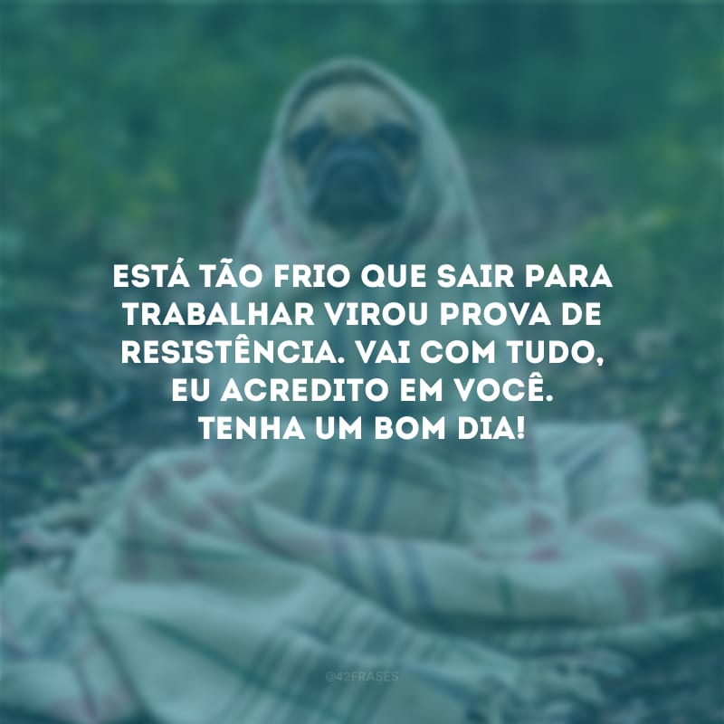 Está tão frio que sair para trabalhar virou prova de resistência. Vai com tudo, eu acredito em você. Tenha um bom dia!