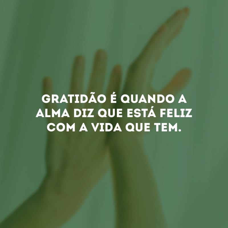 Gratidão é quando a alma diz que está feliz com a vida que tem.