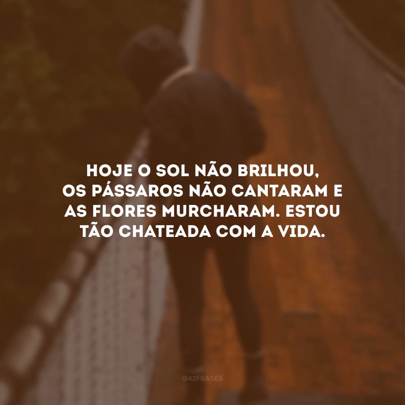 Hoje o sol não brilhou, os pássaros não cantaram e as flores murcharam. Estou tão chateada com a vida.