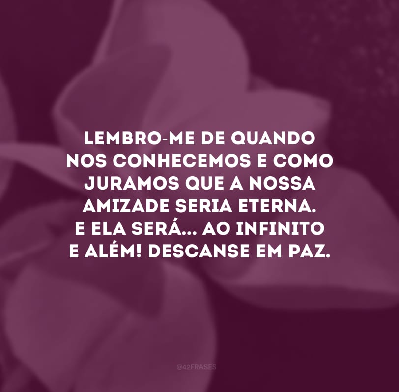 Lembro-me de quando nos conhecemos e como juramos que a nossa amizade seria eterna. E ela será... Ao infinito e além! Descanse em paz. 