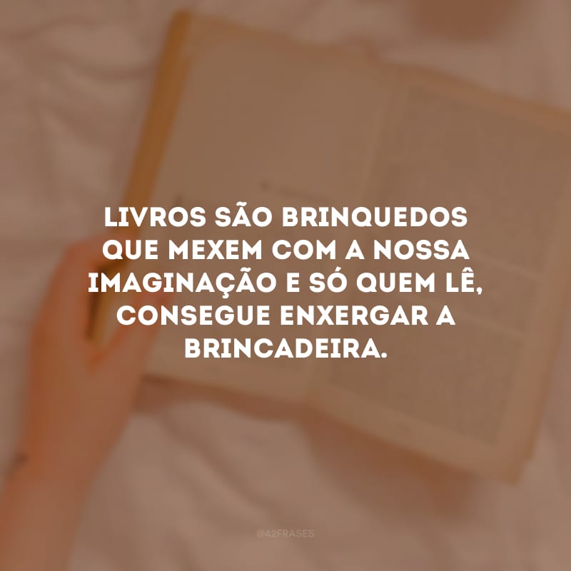 Livros são brinquedos que mexem com a nossa imaginação e só quem lê, consegue enxergar a brincadeira.