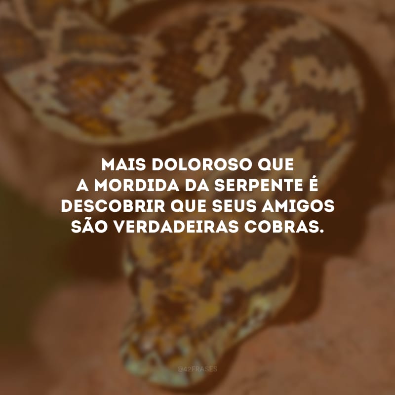 Mais doloroso que a mordida da serpente é descobrir que seus amigos são verdadeiras cobras.