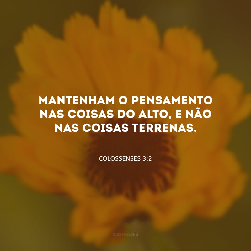 Mantenham o pensamento nas coisas do alto, e não nas coisas terrenas.
