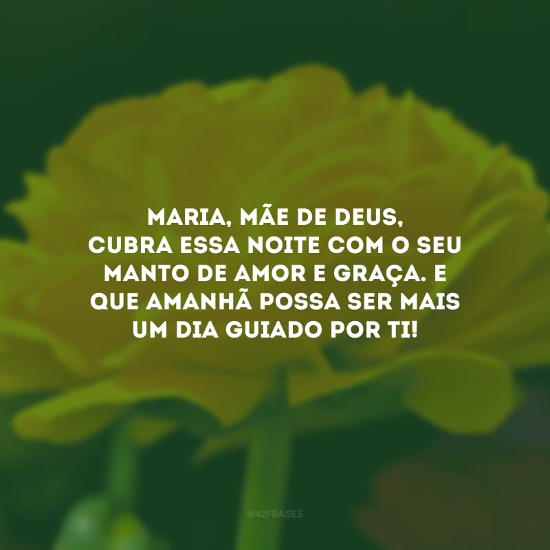 Maria, Mãe de Deus, cubra essa noite com o seu manto de amor e graça. E que amanhã possa ser mais um dia guiado por ti! 