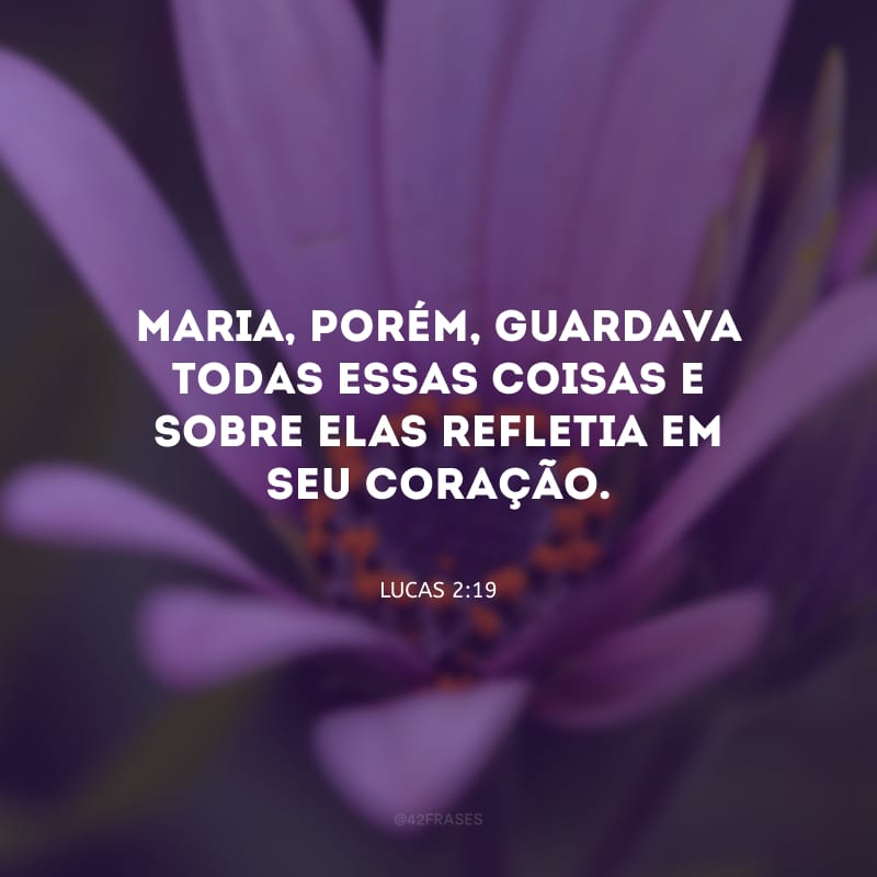 Maria, porém, guardava todas essas coisas e sobre elas refletia em seu coração.
