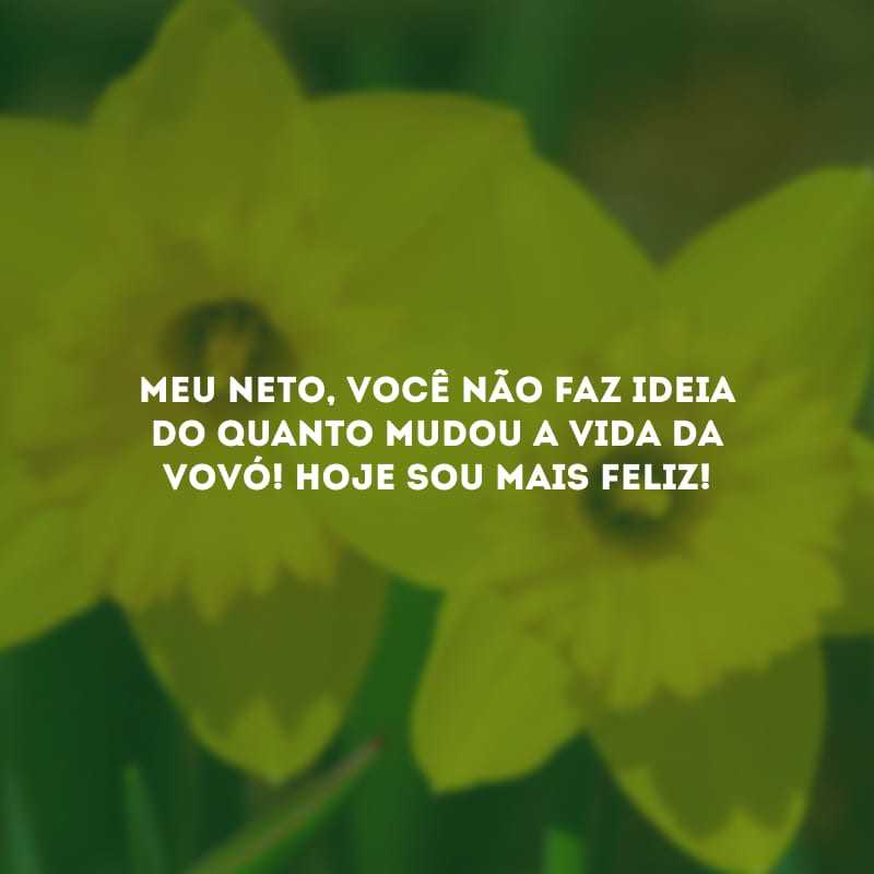 Meu neto, você não faz ideia do quanto mudou a vida da vovó! Hoje sou mais feliz!