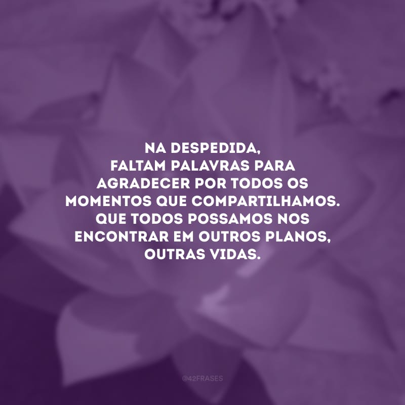 Na despedida, faltam palavras para agradecer por todos os momentos que compartilhamos. Que todos possamos nos encontrar em outros planos, outras vidas.