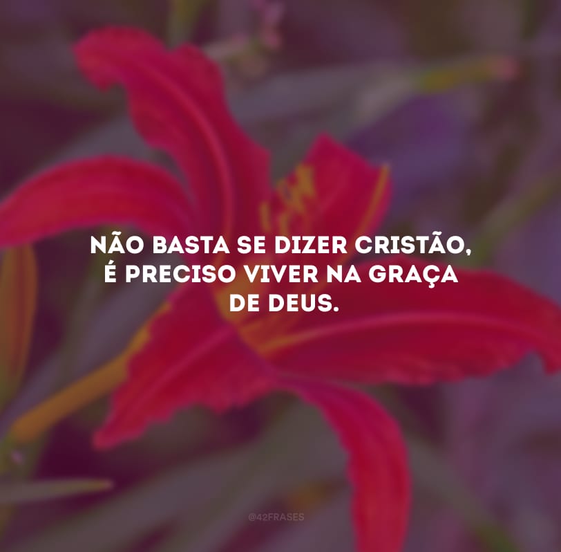 Não basta se dizer cristão, é preciso viver na graça de Deus.