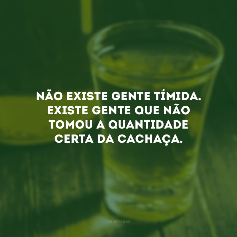 Não existe gente tímida. Existe gente que não tomou a quantidade certa da cachaça.