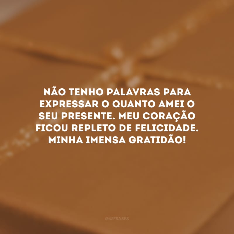 Não tenho palavras para expressar o quanto amei o seu presente. Meu coração ficou repleto de felicidade. Minha imensa gratidão!