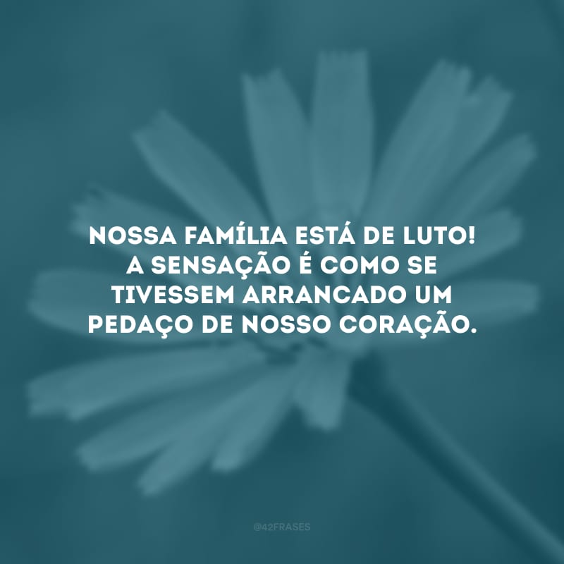 Nossa família está de luto! A sensação é como se tivessem arrancado um pedaço de nosso coração.