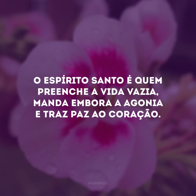 O Espírito Santo é quem preenche a vida vazia, manda embora a agonia e traz paz ao coração. 