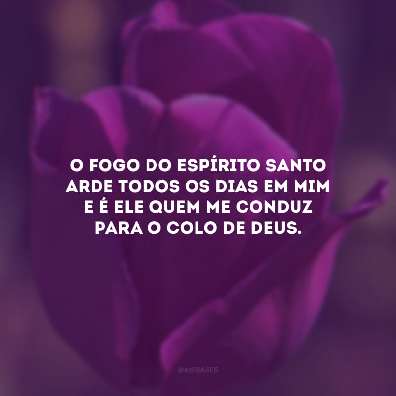 O fogo do Espírito Santo arde todos os dias em mim e é Ele quem me conduz para o colo de Deus. 