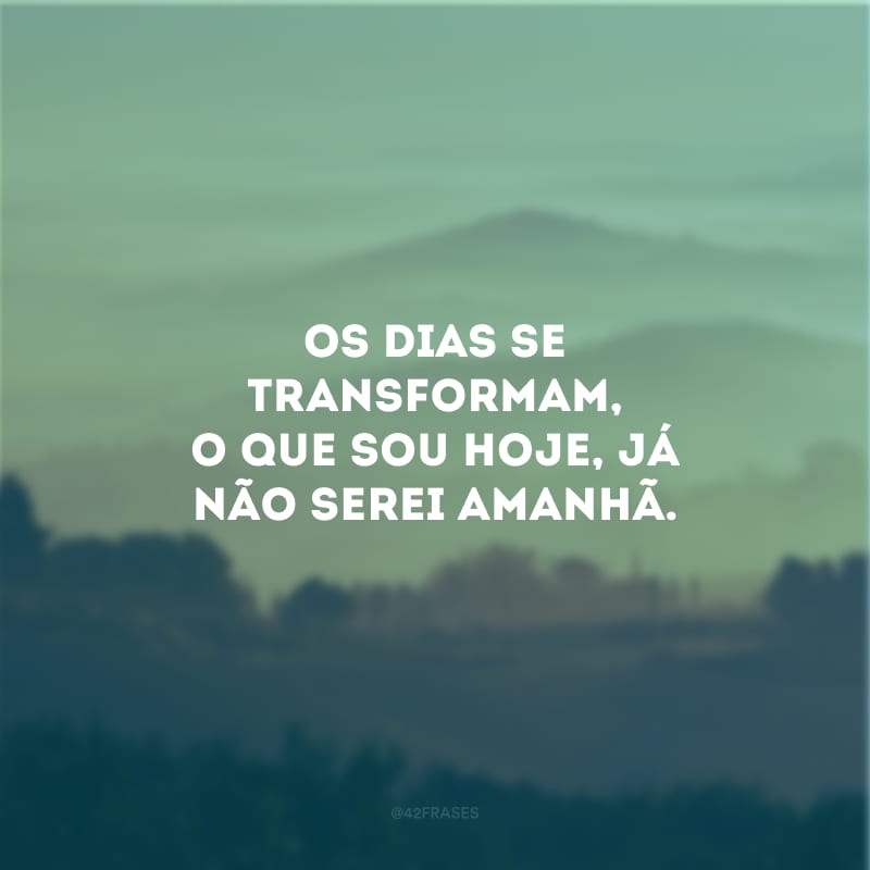 Os dias se transformam, o que sou hoje, já não serei amanhã.