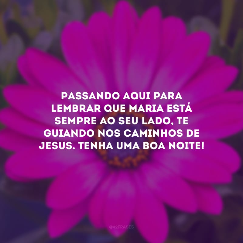 Passando aqui para lembrar que Maria está sempre ao seu lado, te guiando nos caminhos de Jesus. Tenha uma boa noite! 