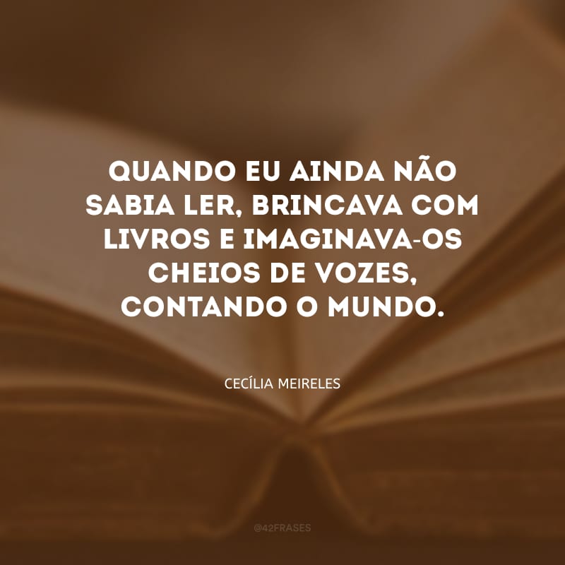 Quando eu ainda não sabia ler, brincava com livros e imaginava-os cheios de vozes, contando o mundo.