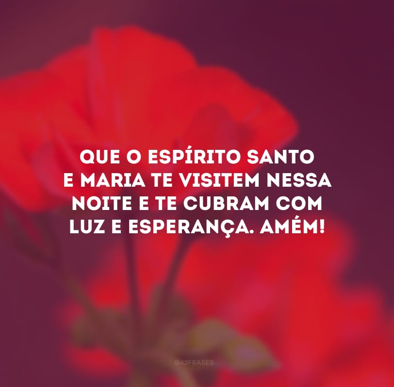 Que o Espírito Santo e Maria te visitem nessa noite e te cubram com luz e esperança. Amém! 