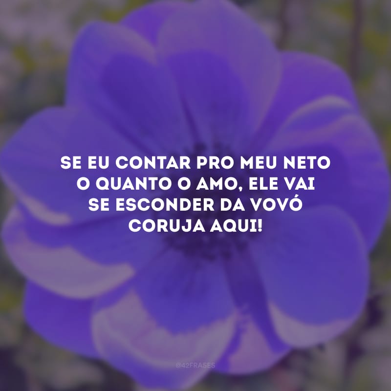 Se eu contar pro meu neto o quanto o amo, ele vai se esconder da vovó coruja aqui!