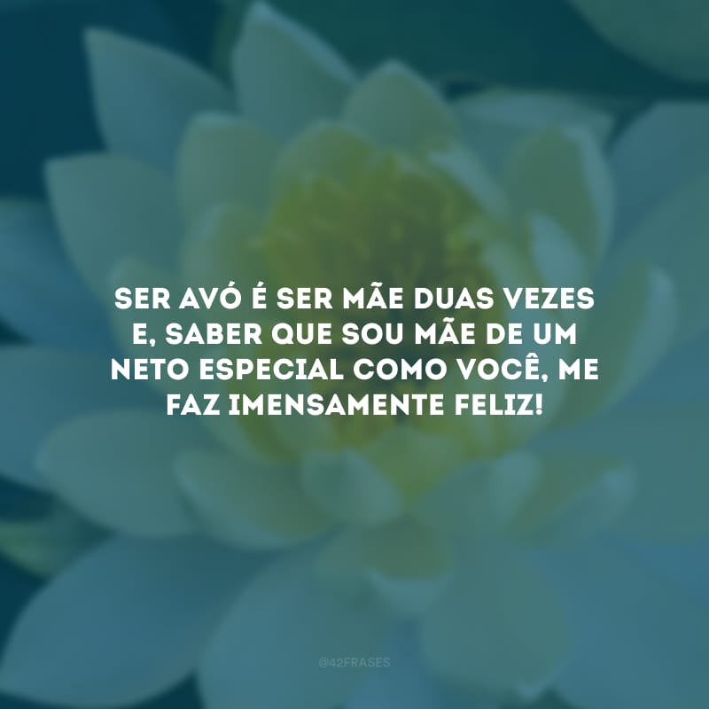 Ser avó é ser mãe duas vezes e, saber que sou mãe de um neto especial como você, me faz imensamente feliz!