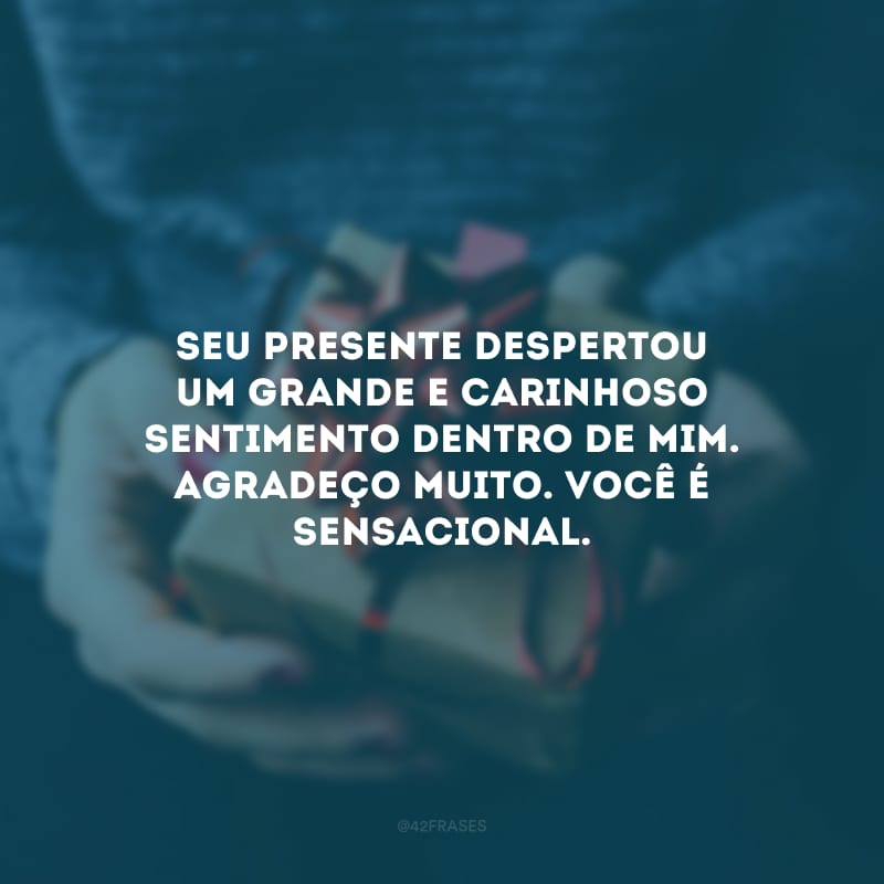 Seu presente despertou um grande e carinhoso sentimento dentro de mim. Agradeço muito. Você é sensacional.