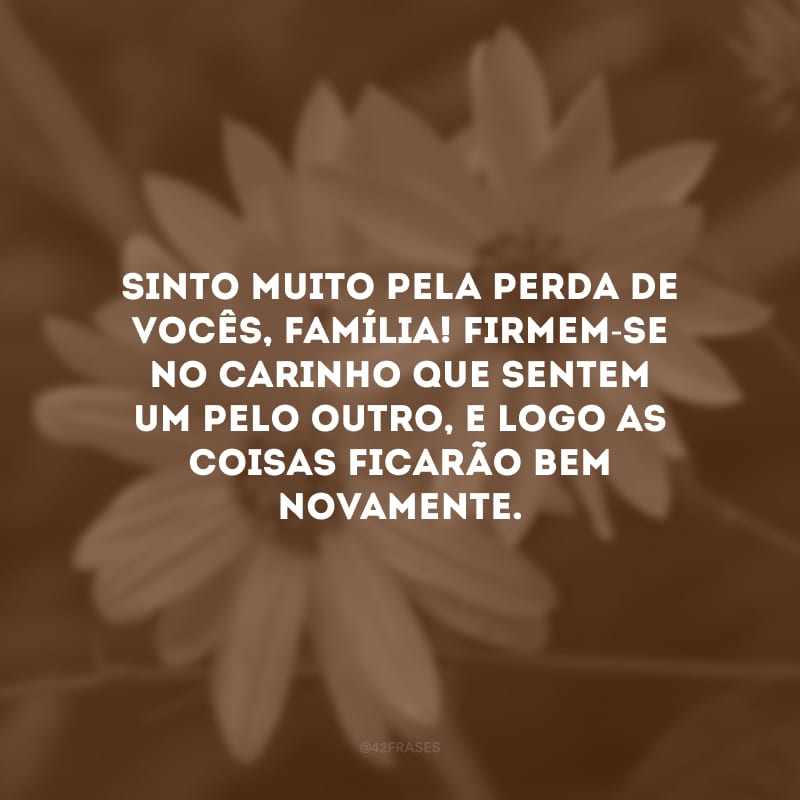 Sinto muito pela perda de vocês, família! Firmem-se no carinho que sentem um pelo outro, e logo as coisas ficarão bem novamente.